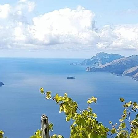 阿杰罗拉Vecchio West住宿加早餐旅馆 外观 照片