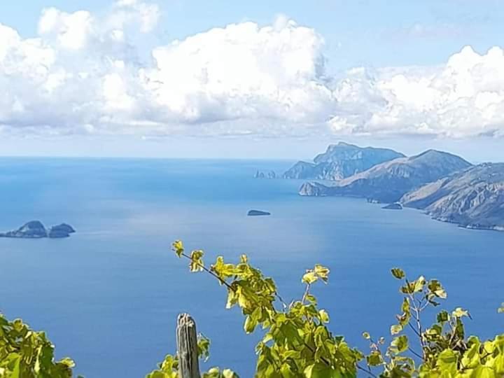 阿杰罗拉Vecchio West住宿加早餐旅馆 外观 照片
